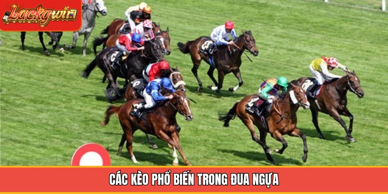 Các kèo phổ biến trong đua ngựa Các kèo phổ biến trong đua ngựa